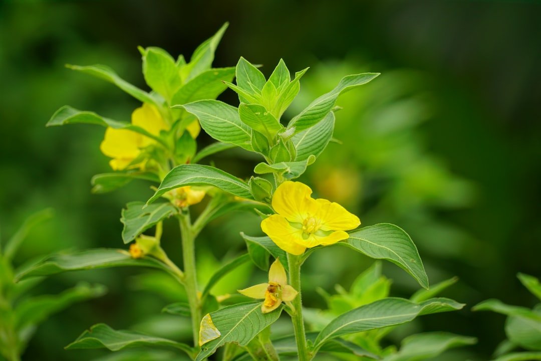 Can Your Go-To DIY Cold Remedies Actually Make You Sicker?